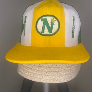VINTAGE NORTHSTARS HAT