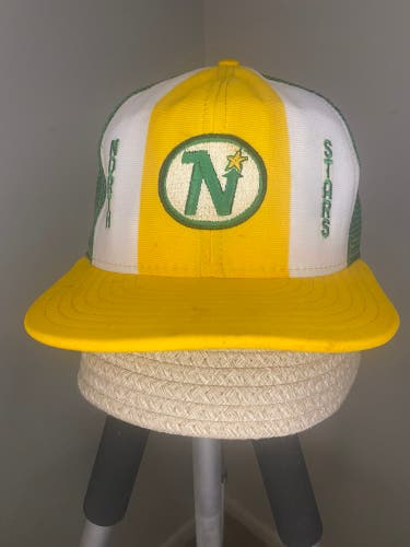 VINTAGE NORTHSTARS HAT