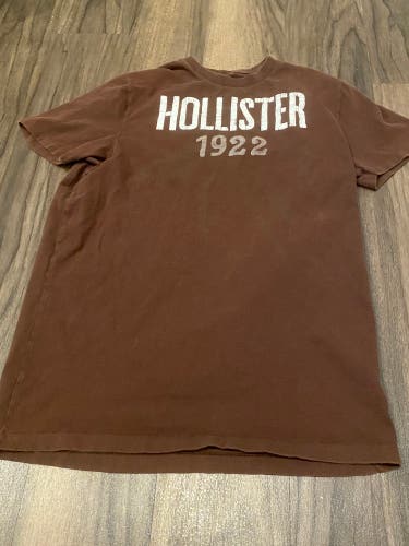 Hollister Adult Medium Brown Short Sleeve Shirt