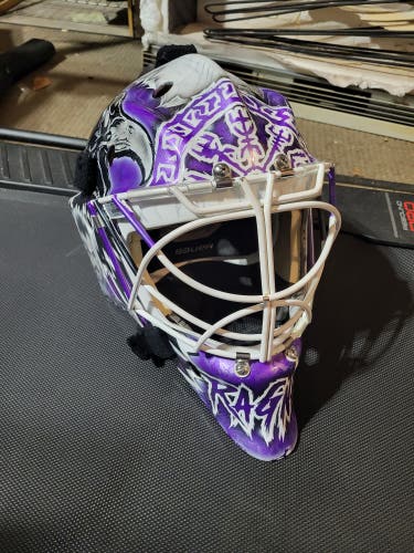 Custom Purple and white Viking theme Bauer 960 Pro
