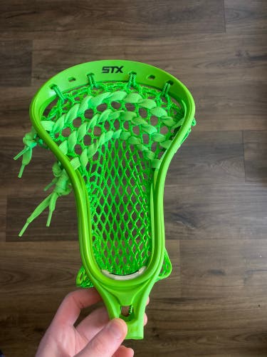 Lime Green Monochrome Strung Original Stallion Head