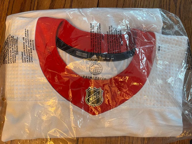 Detroit Red Wings Jersey