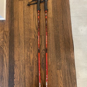 Used 38in (95cm) Scott Ski Poles