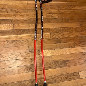 Rossignol Hero Jr GS Pole