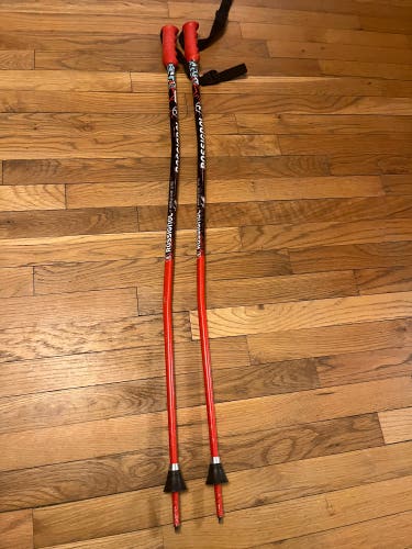 Rossignol Hero Jr GS Pole