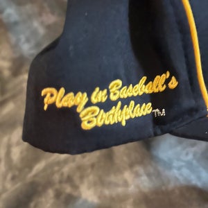 Coopertown World Series