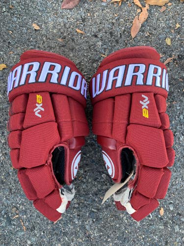 Used Warrior Dynasty AX2 Gloves 13.5"