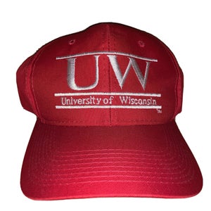 Vintage University of Wisconsin Badgers Split Bar The Game Snapback Hat RARE