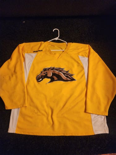 Western michigan university Broncos practice jersey #29