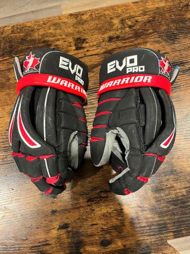 Team Canada Evo Pro glove