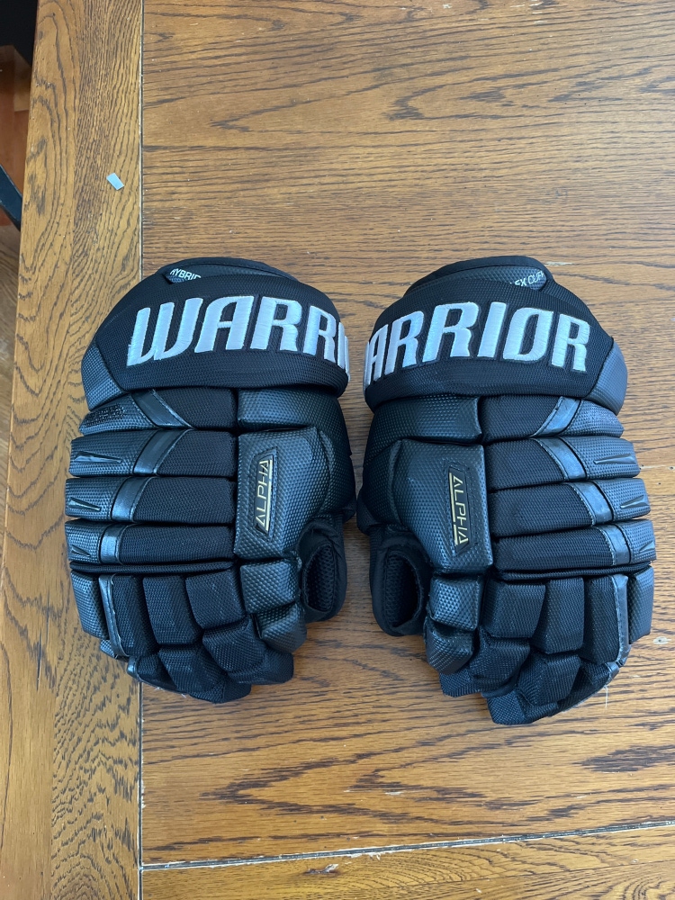 Warrior 13" Alpha DX Pro Gloves