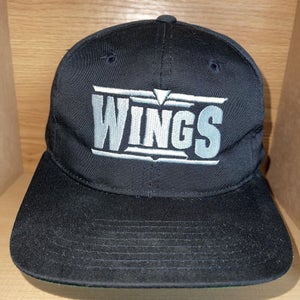 Vintage Wings Discovery Channel Snapback TV Show Plane Aviation Hat
