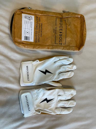 Bruce Bolt Batting Gloves with Case, XL, Like New Condition