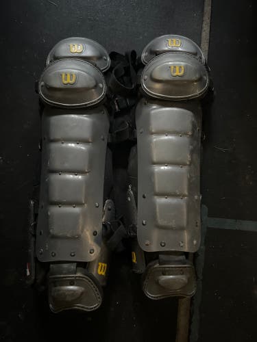 Wilson Catcher's Set