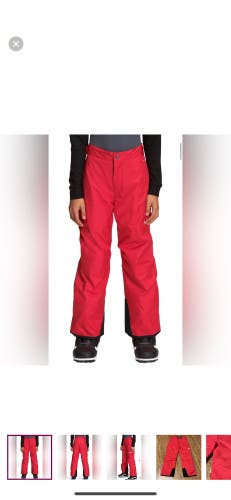 The North Face Freedom Insulated Ski Snow Pant