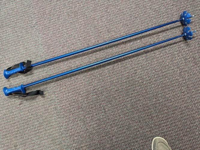 Ski Poles Size 130 Cm Color Blue Condition Used