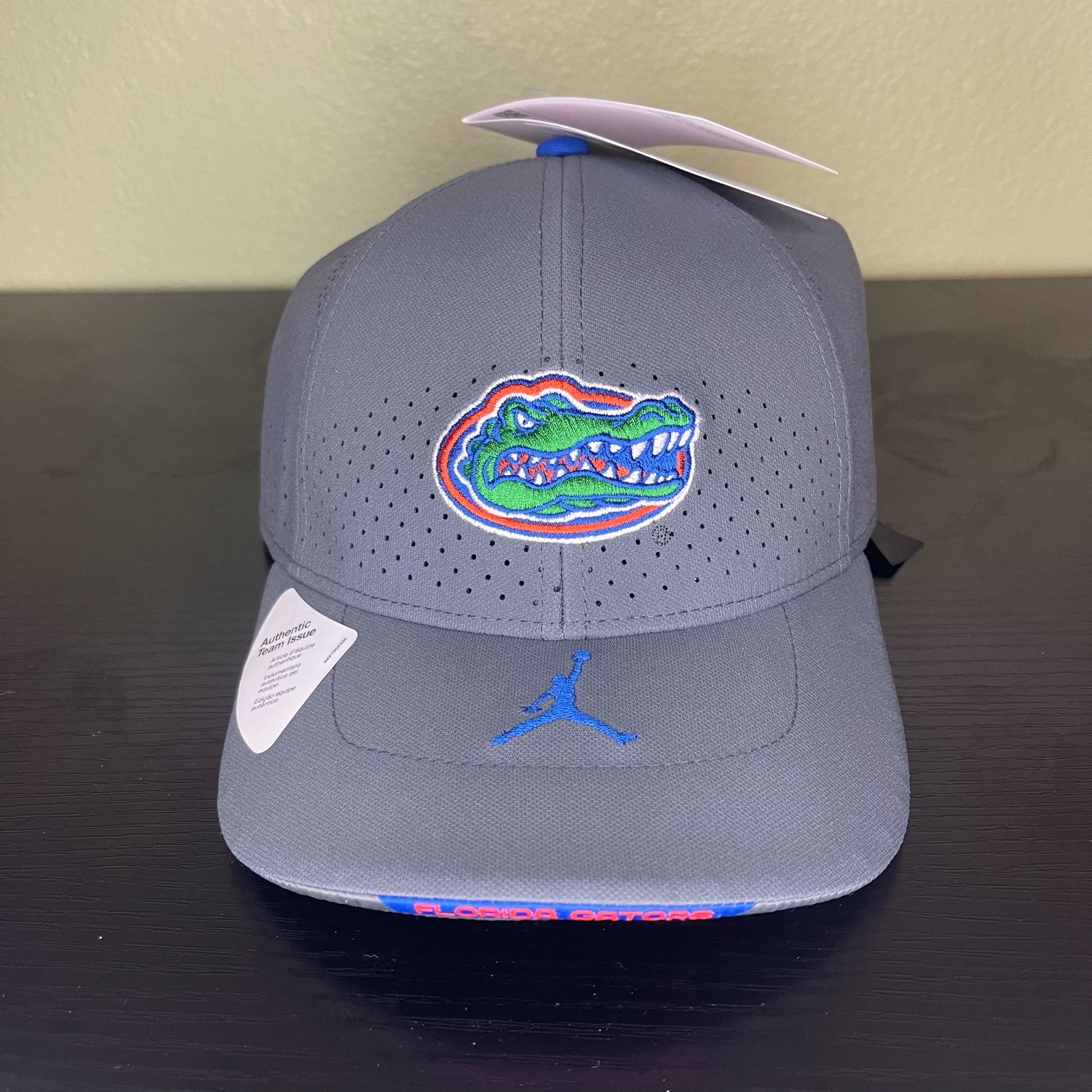 Florida Gators Jordan Jumpman Nike Adjustable Hat Cap Gray Blue Aerobill Dri-Fit