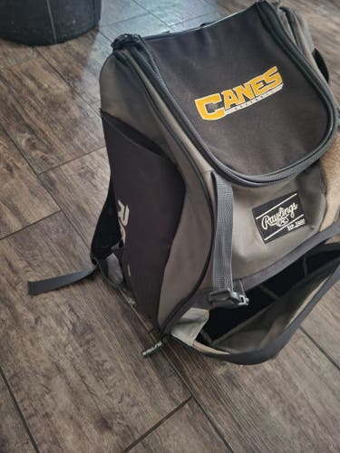 Rawlings canes baseball bag