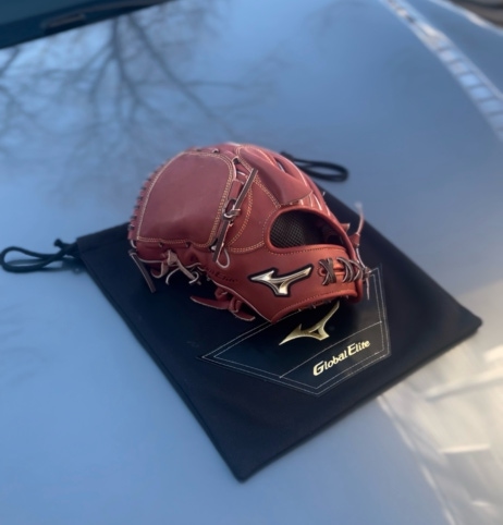 New  Pitcher's  Global Elite Baseball Glove