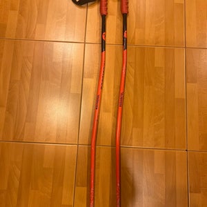 Rossignol GS Poles