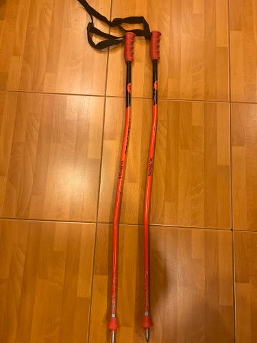 Rossignol GS Poles