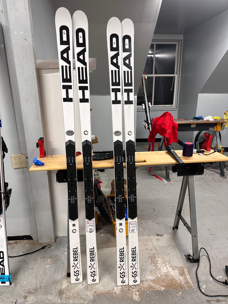 181 cm HEAD World Cup Rebels e-GS RD Skis | SidelineSwap