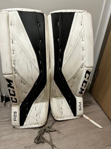 CCM P2.9 Pads 33+1