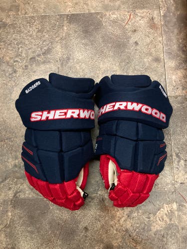 Sherwood Rekker Element Pro gloves