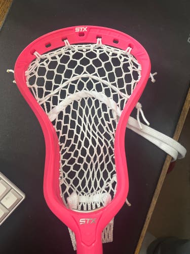 New Attack & Midfield Strung Stallion 1K Head
