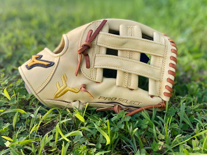 Mizuno Pro select baseball glove