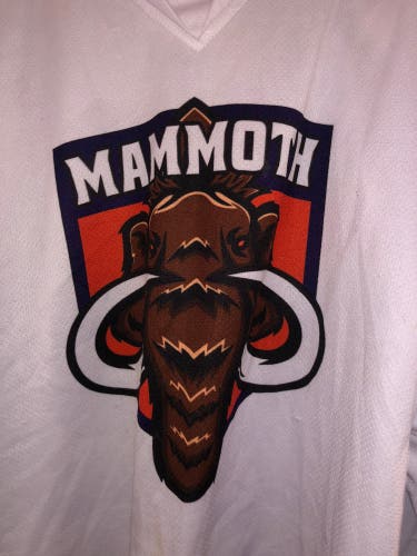 #4 ELMIRA MAMMOTH USED PRACTICE JERSEY SIZE  UNKNOWN
