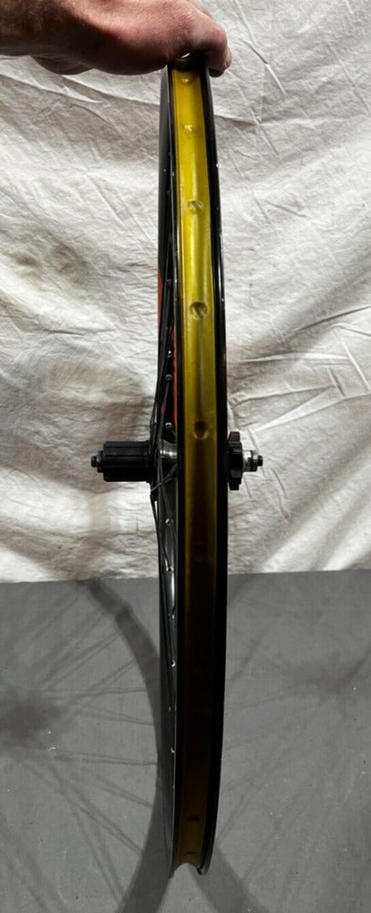 Alexrims DP20 (DISC) ホイール maxxis タイヤ　セット s-l1200.jpg