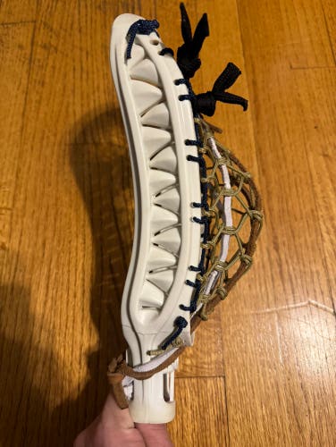Warrior Barracuda Head
