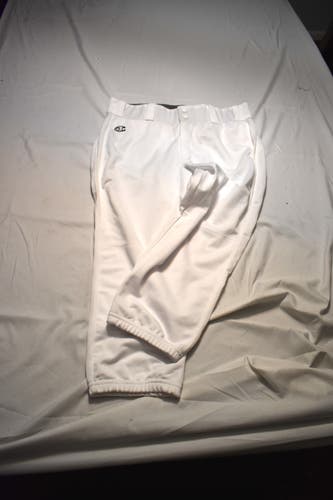 NEW - Champion Baseball Pants, White, XL