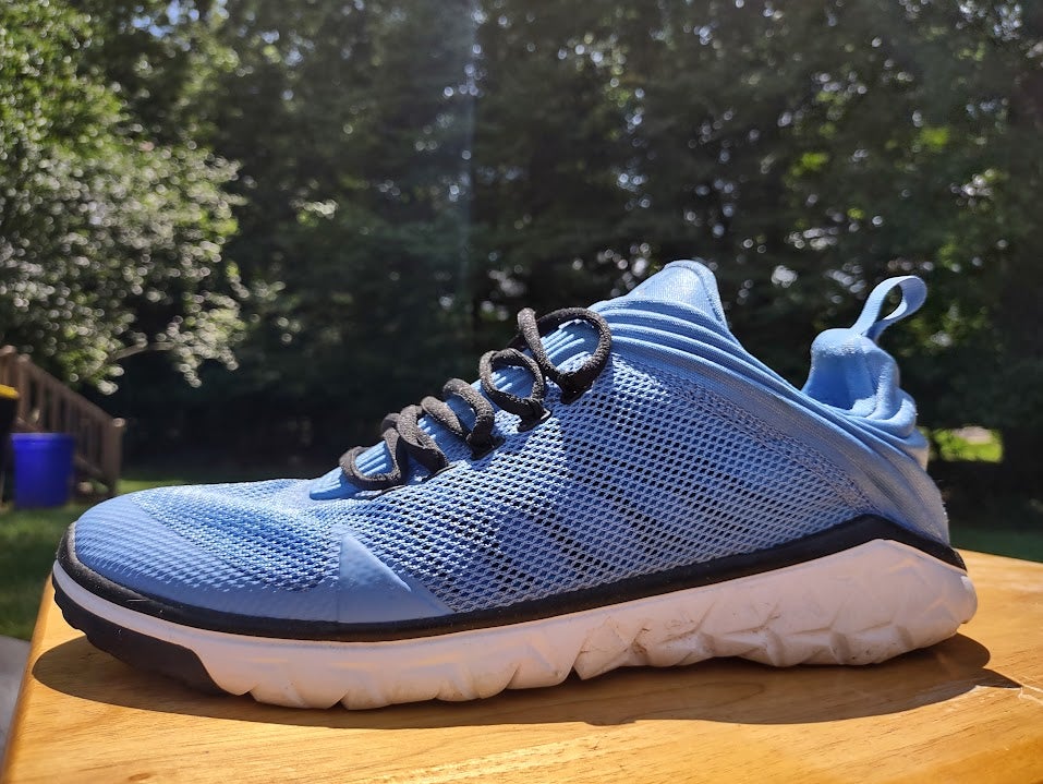 jordan flight flex blue
