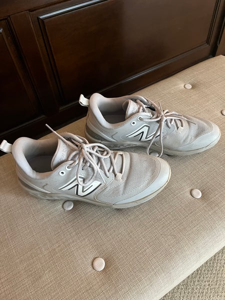 Gray Men's Metal Low Top 3000v6
