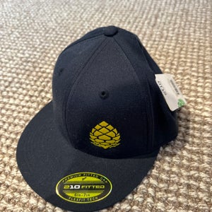 New Stio Fitted Ski Hat