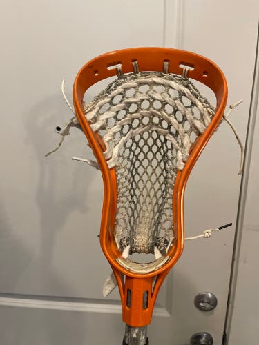 Box Pinched Brine Edge X