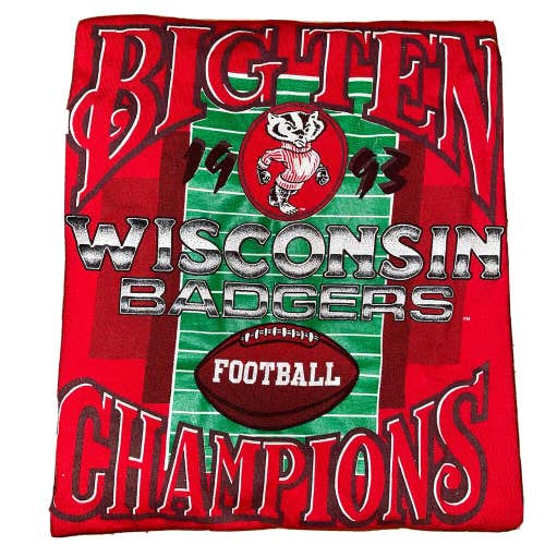 Vintage 1993 Wisconsin Badgers Football T-Shirt Men's Size Large