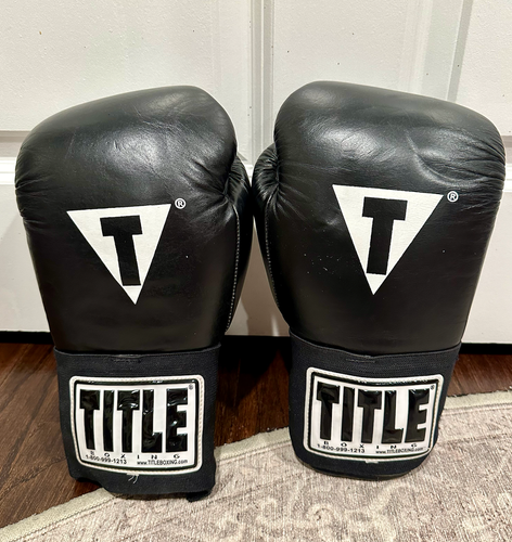 Used Title 10oz Boxing Gloves