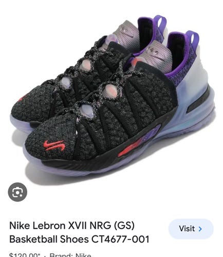 Nike Lebron XVII basketball Shoes