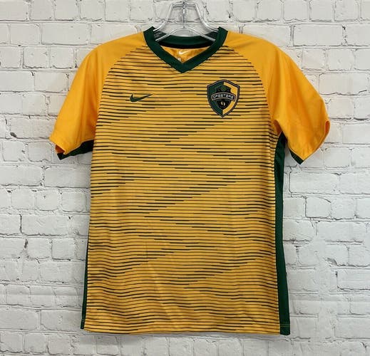 Nike Youth Unisex 984185 Size Large Gold Green Vneck SS Soccer Jersey New