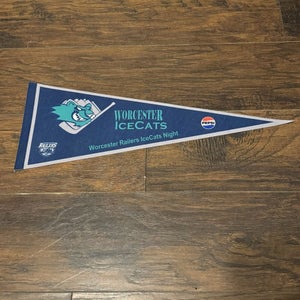 Worcester Railers Worcester IceCats Night Minor League Wall Display Logo Pennant