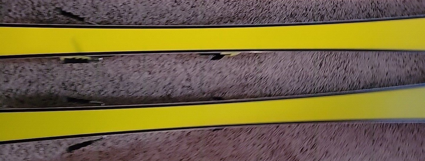 2024 Fischer RC4 WC FIS SL 165 cm (Race Room Stiff) Skis w/Z17 
