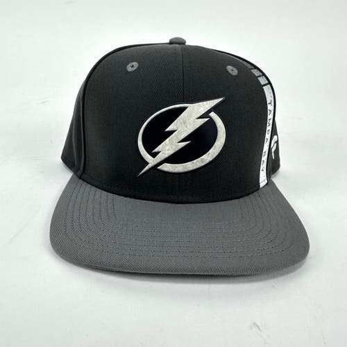 Brand New Grey Tampa Bay Lightning Fanatics Snapback Hat
