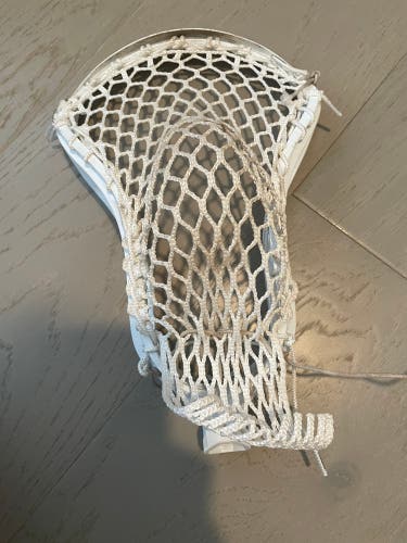 New Attack & Midfield Strung Stallion 1K Head