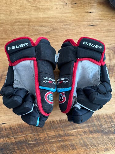 Bauer 14" Pro Stock Vapor APX2 Pro Gloves