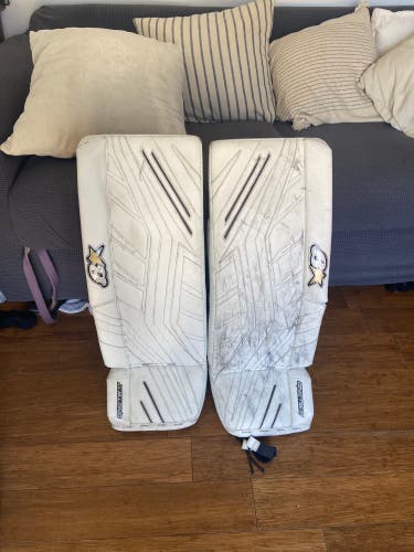 Brians gnetik x5
