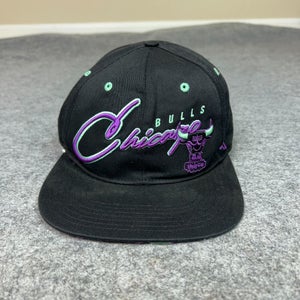 Chicago Bulls Mens Hat Snapback Black Purple Hardwood Classics 47 Cap Basketball