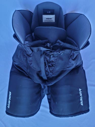 pro stock Bauer Nexus Custom Pro Large pants SJS black